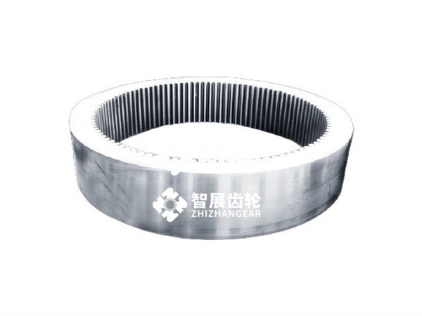 Internal gear ring